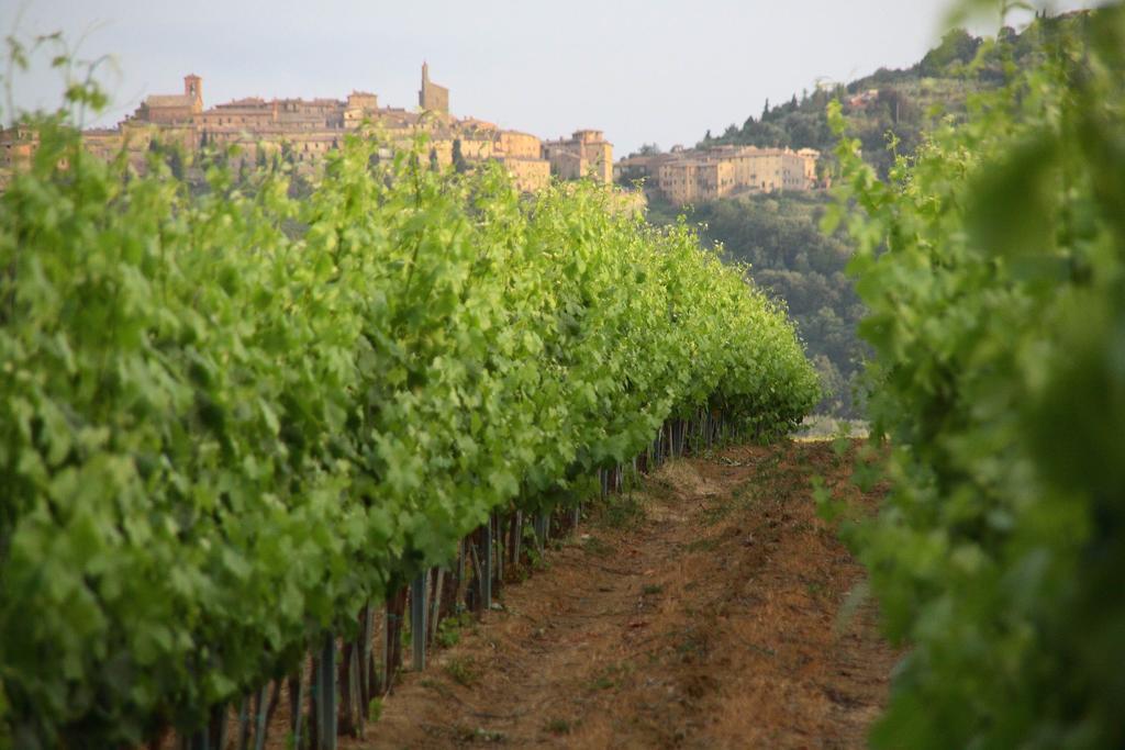 Tenuta Lamborghini Golf & Resort Panicale Buitenkant foto
